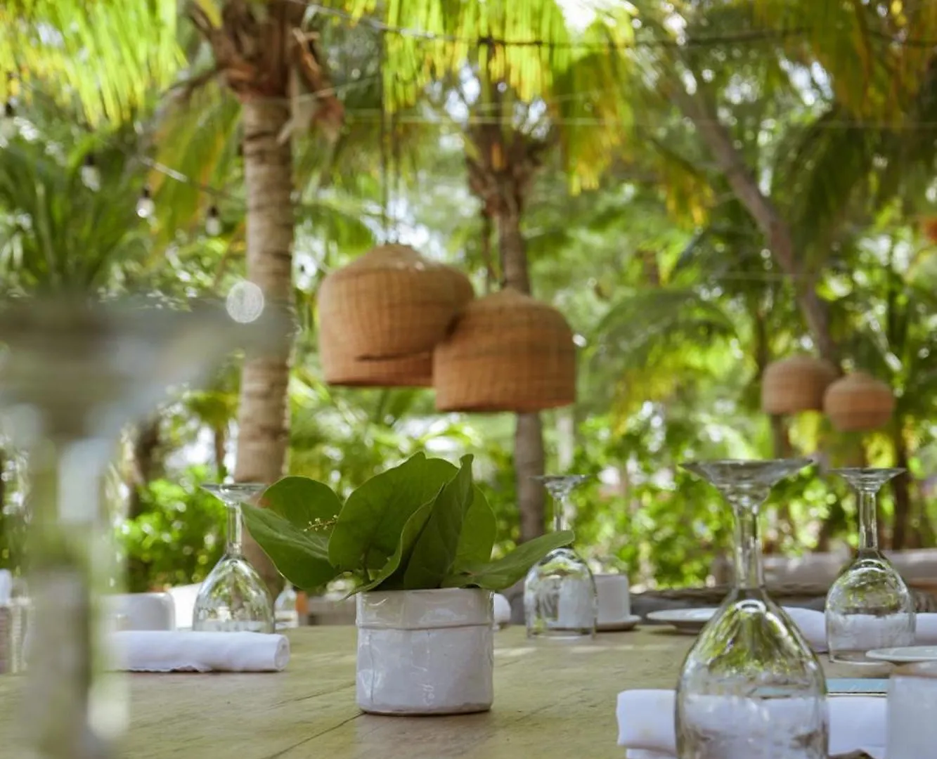 Ser Casasandra Boutique Hotel Isla Holbox
