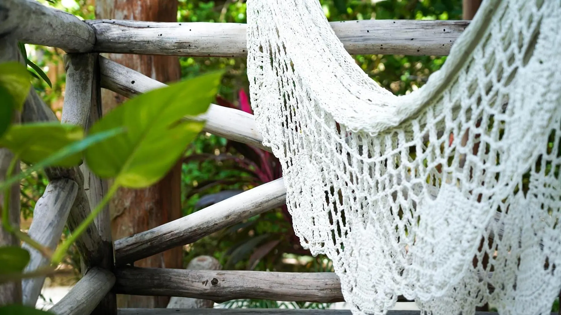 Ser Casasandra Boutique Hotel Isla Holbox