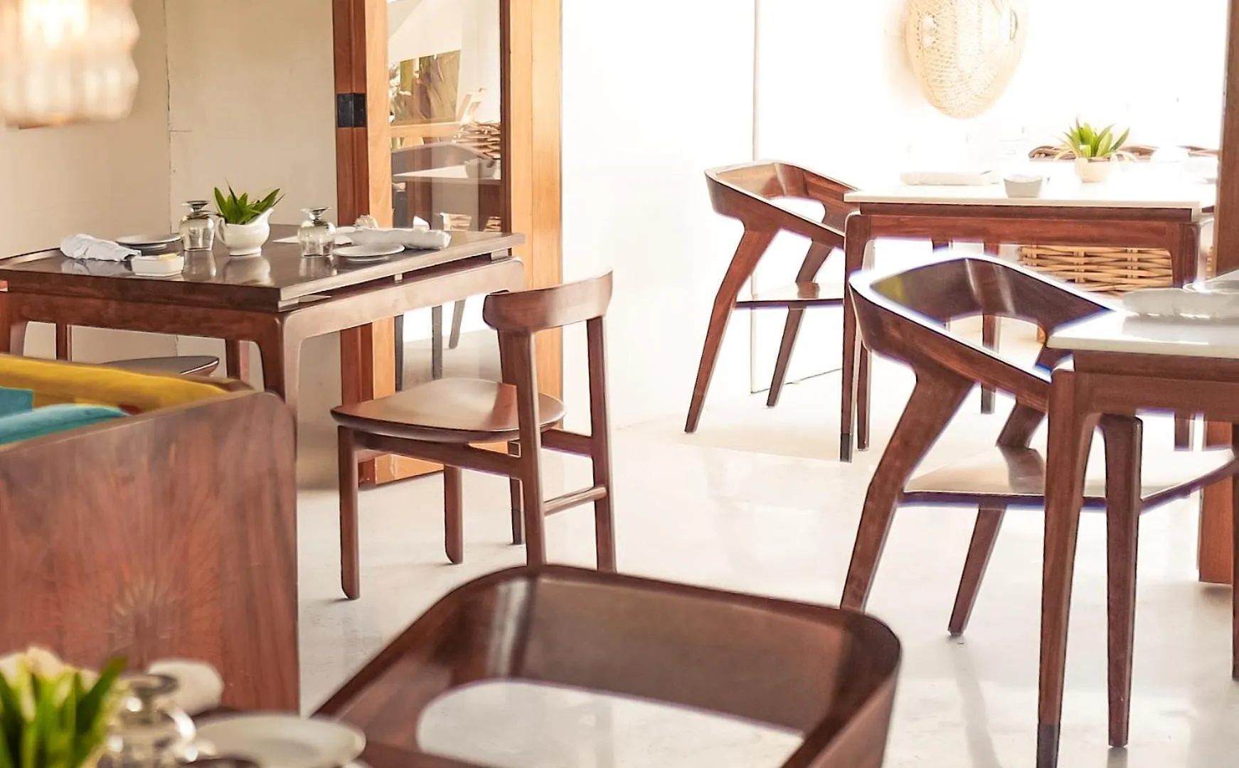 Ser Casasandra Boutique Hotel Isla Holbox