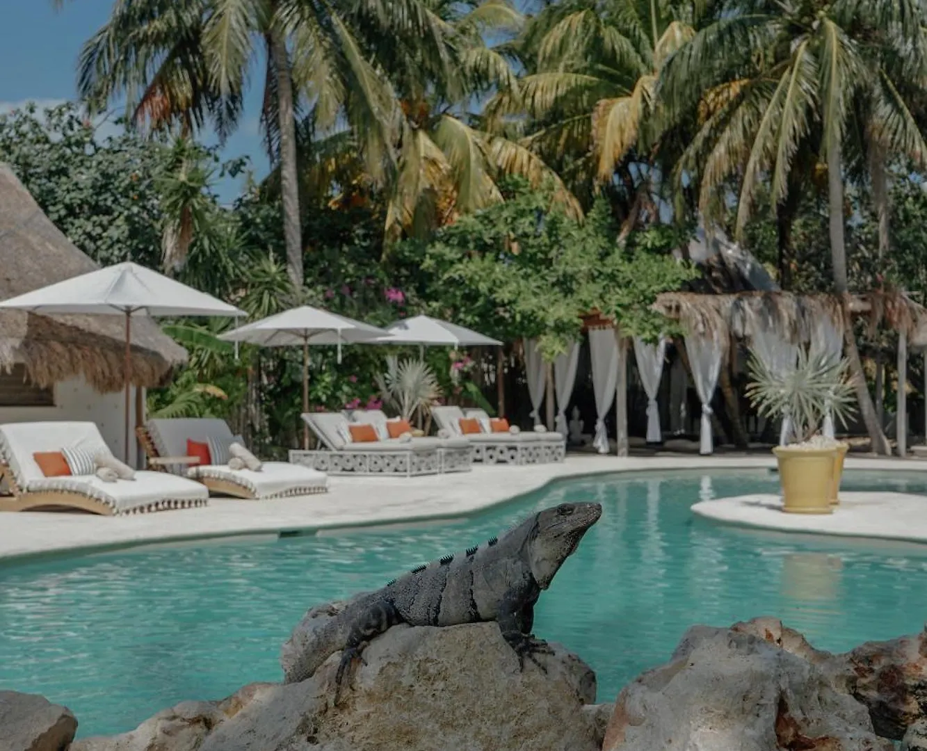 Ser Casasandra Boutique Hotel Isla Holbox