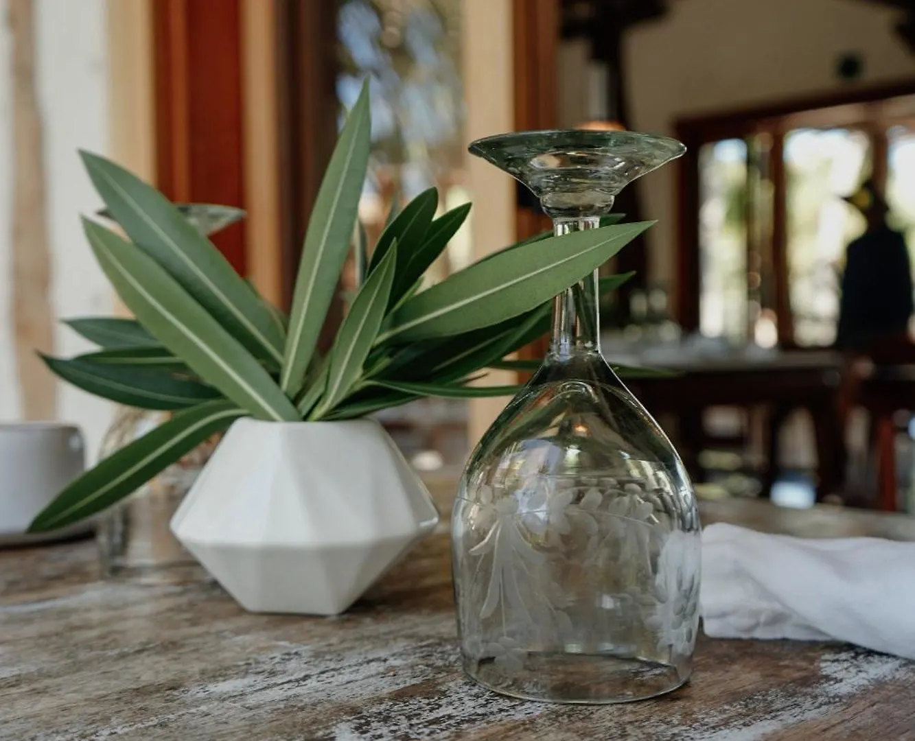 Ser Casasandra Boutique Hotel Isla Holbox