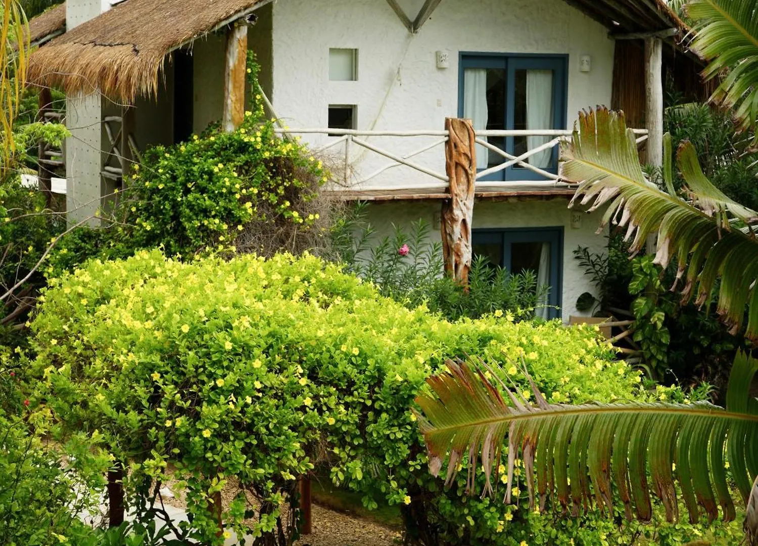 Ser Casasandra Boutique Hotel Isla Holbox 4*,